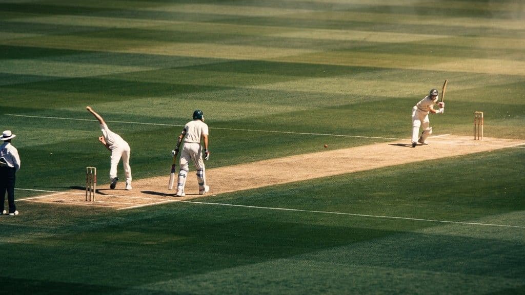 Reading live cricket odds without the noise